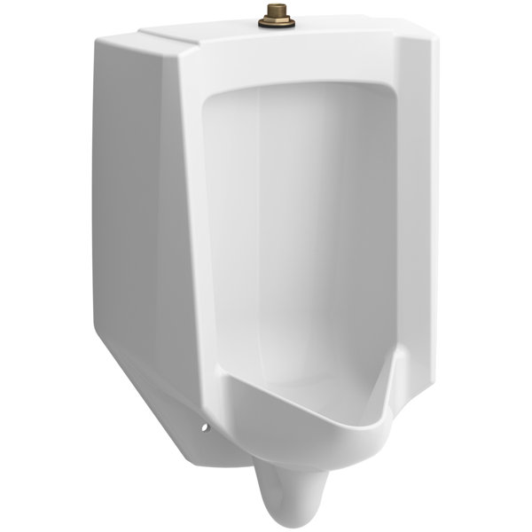 Wayfair 0.126 0.5 GPF Black Urinals You'll Love in 2022